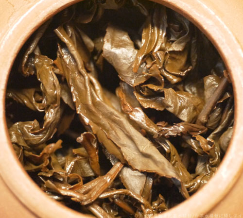 鹿野蜜香紅茶茶殻